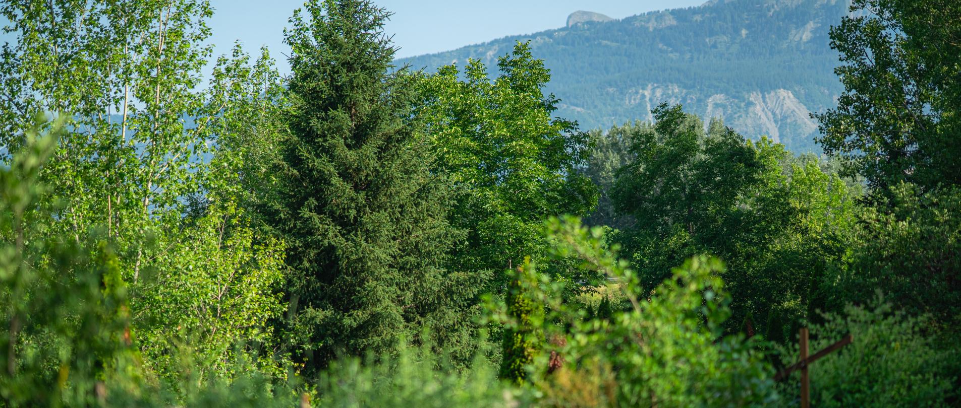 Paysage autour des lodges de Valières, proche du lac de Serre Ponçon